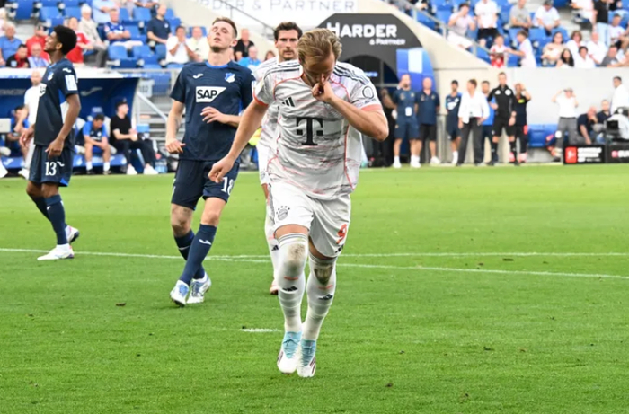 霍芬海姆客场小胜,继续保持不败的简单介绍 霍芬海姆客场小胜,继续保持不败的简单介绍